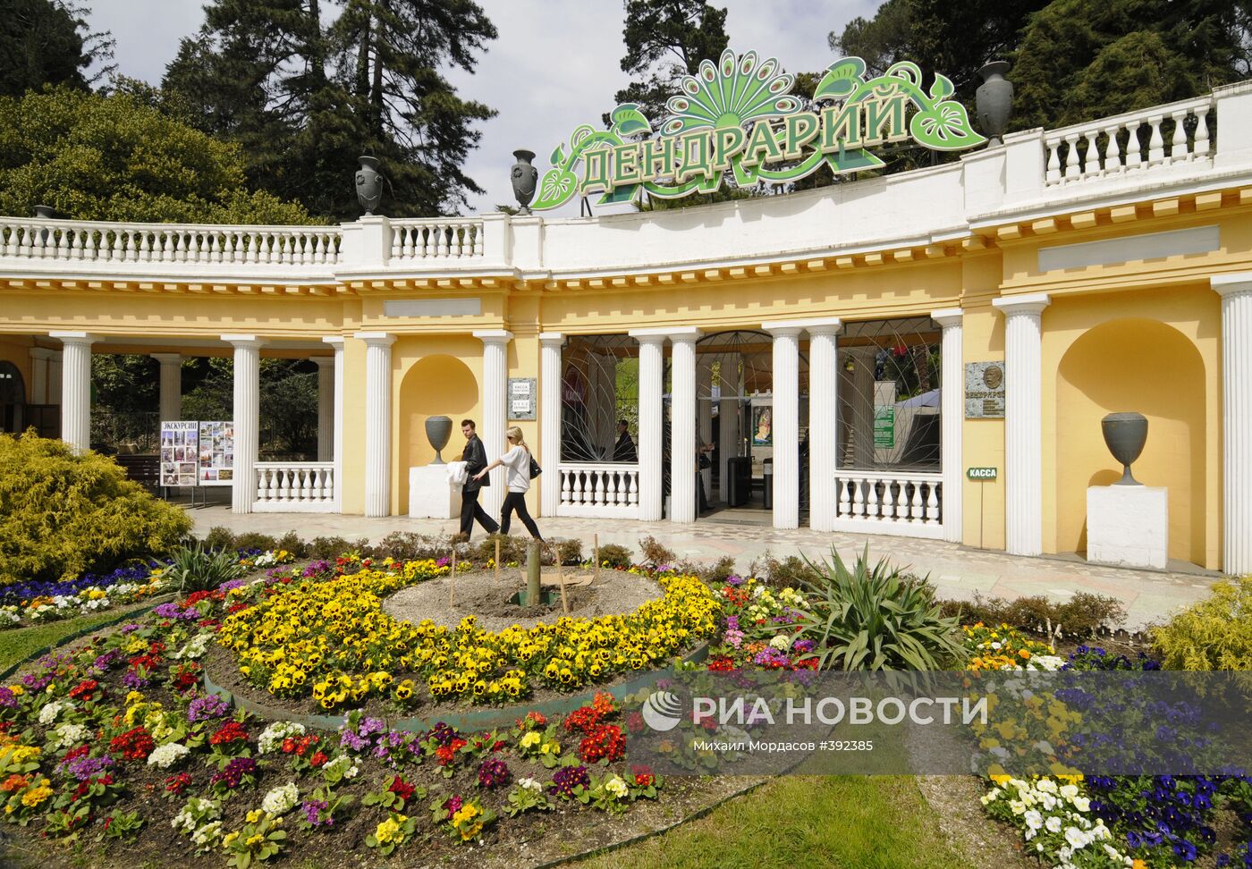 Сочинский "Дендрарий"