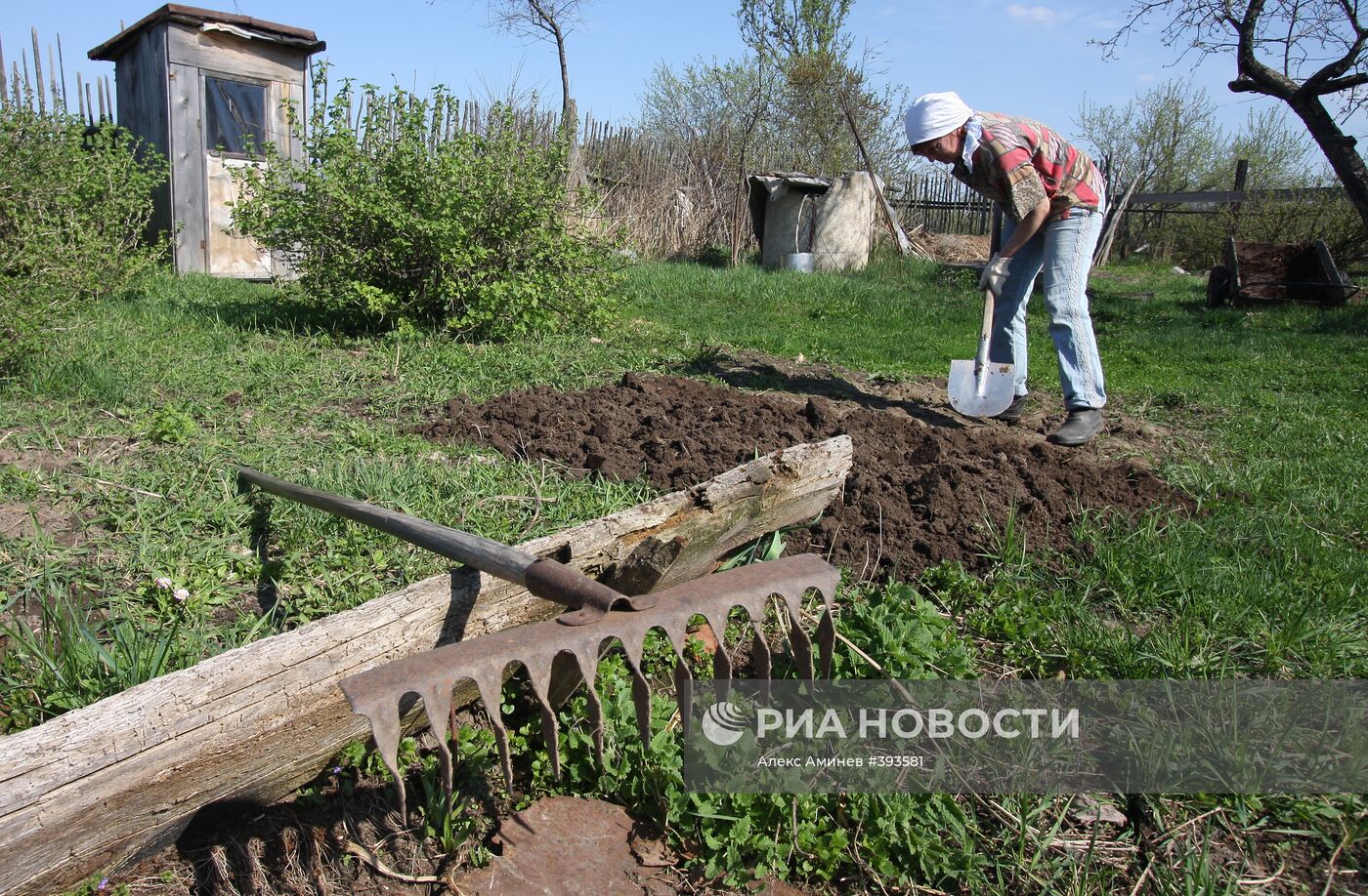 Дачный сезон