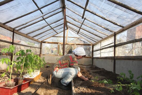 Дачный сезон