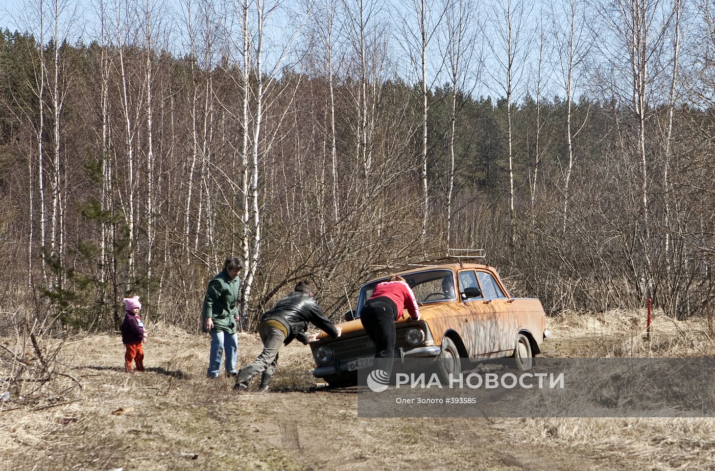 Дачный сезон