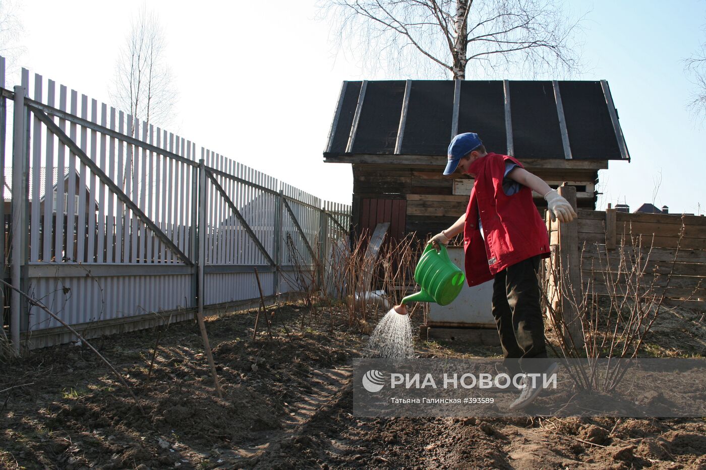 Дачный сезон