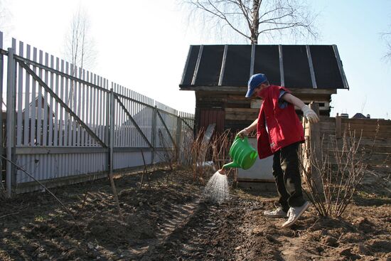 Дачный сезон