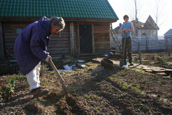 Дачный сезон