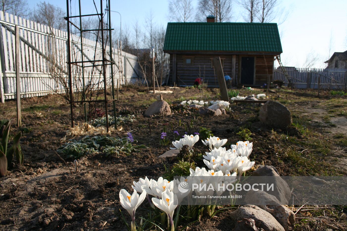 Дачный сезон