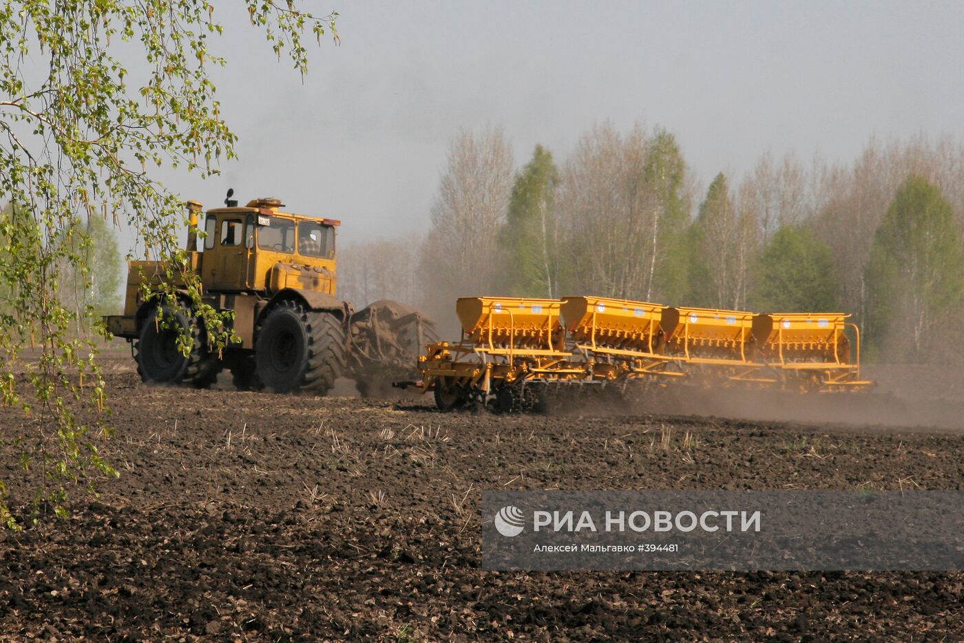 Сев зерновых культур в Омской области