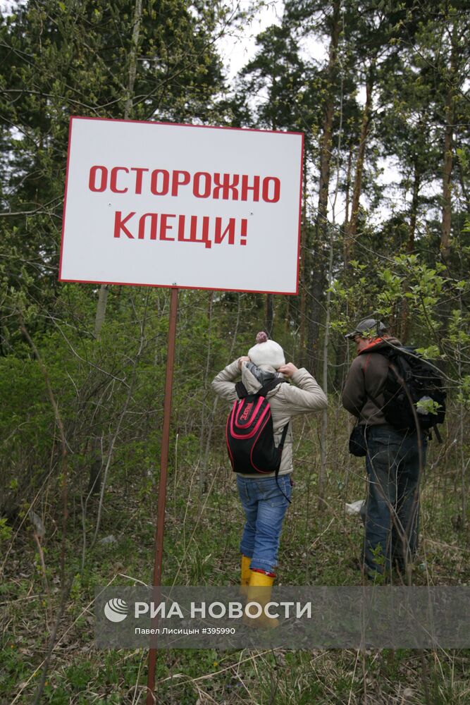 Предупреждение об опасности нападения клещей