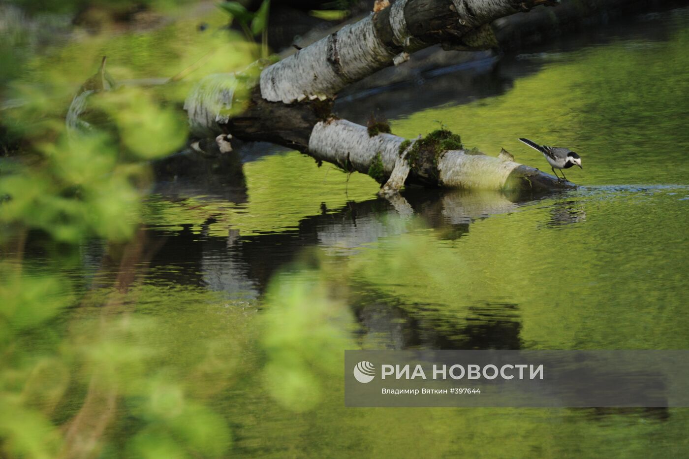 Май в Подмосковье