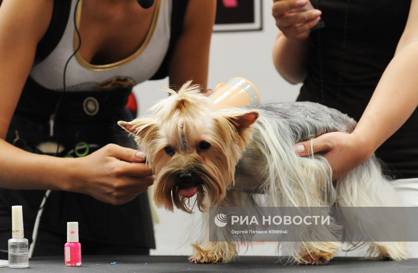 Неделя высокой моды для животных