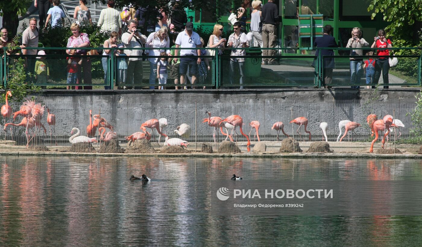 В Московском зоопарке