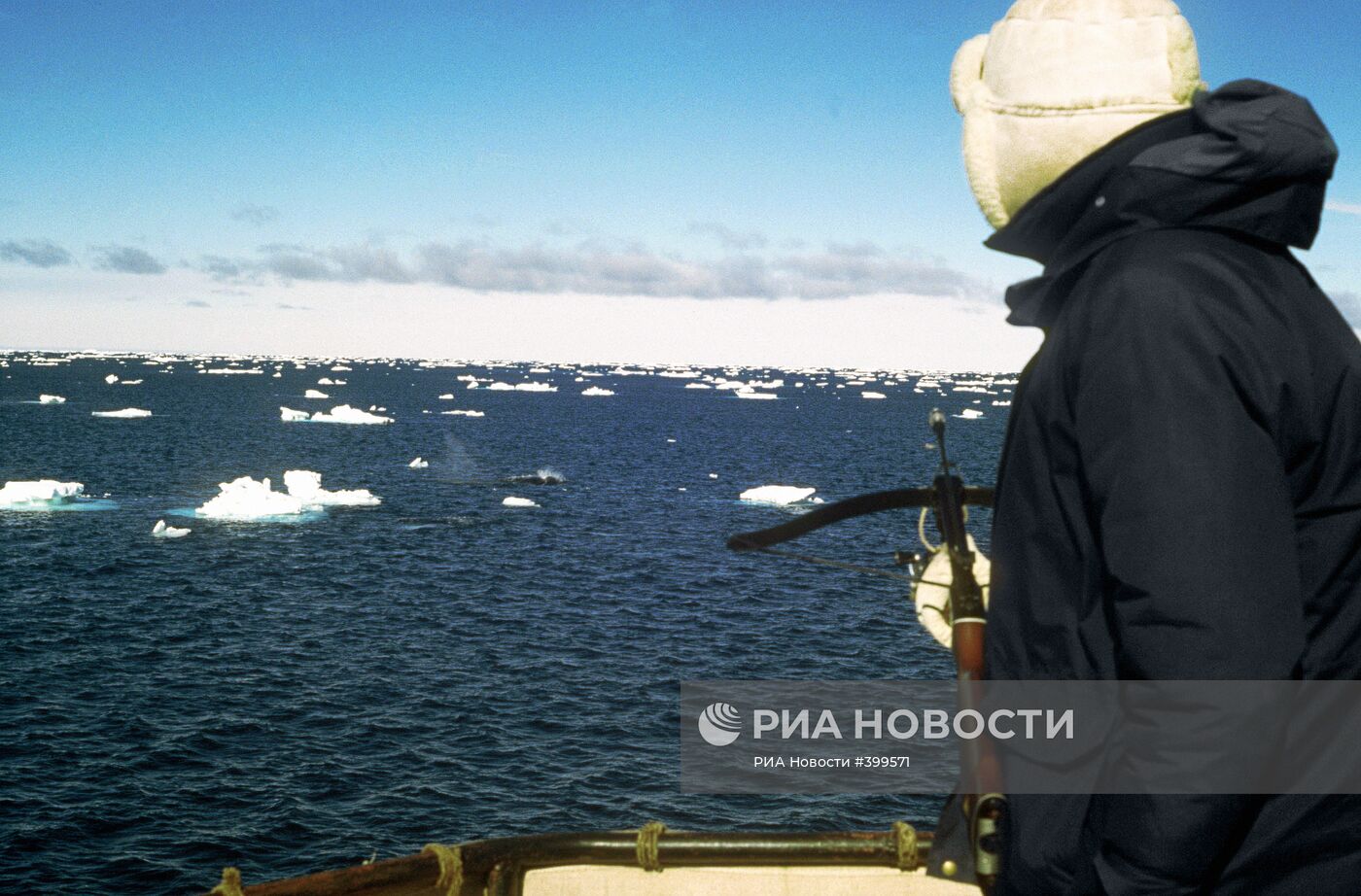 Экспедиция по изучению китов в Антарктике