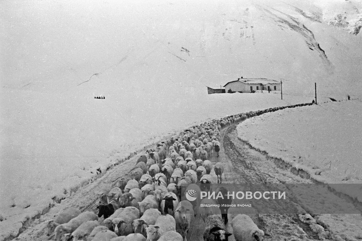 Великая Отечественная война 1941-1945 гг