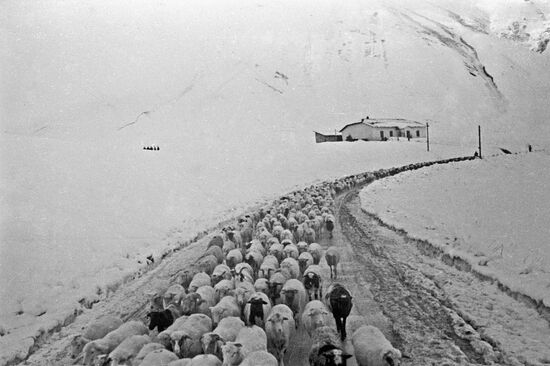 Великая Отечественная война 1941-1945 гг