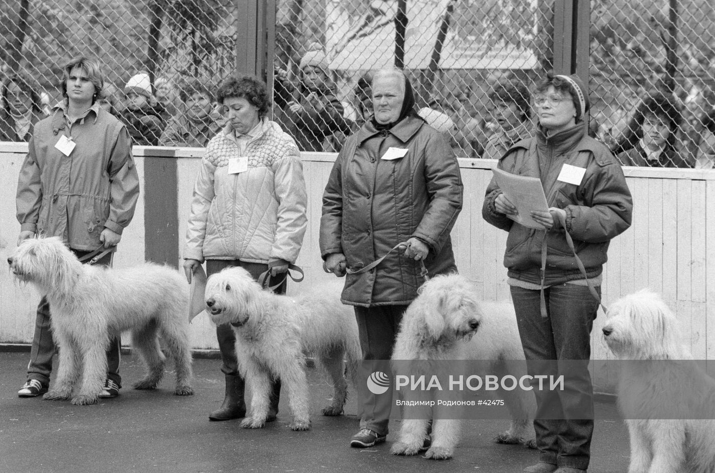 ВЫСТАВКА ОТЕЧЕСТВЕННЫЕ СЛУЖЕБНЫЕ СОБАКИ «ДОСААФ»