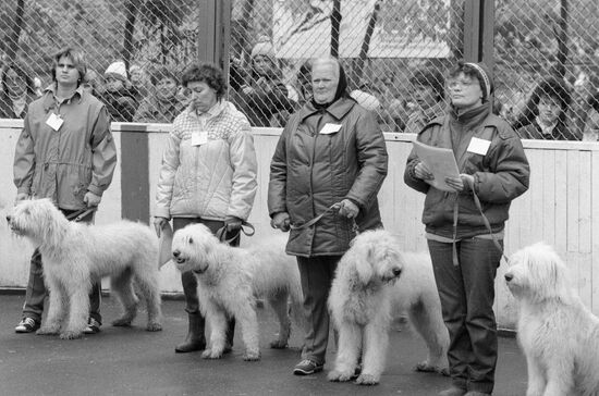 ВЫСТАВКА ОТЕЧЕСТВЕННЫЕ СЛУЖЕБНЫЕ СОБАКИ «ДОСААФ»