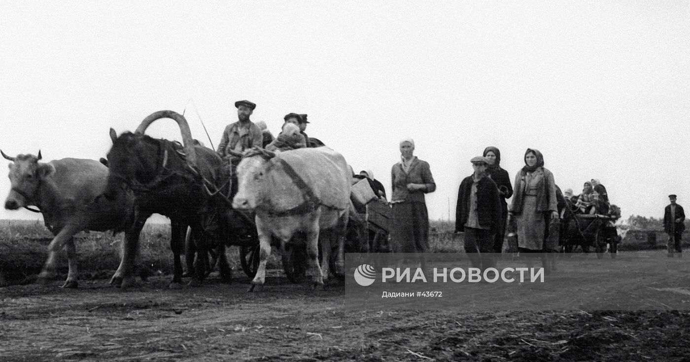 Великая Отечественная война 1941-1945 гг.