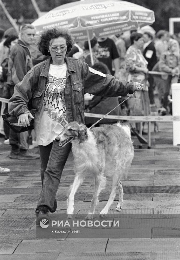 Национальная выставка собак всех пород "Россия-95"