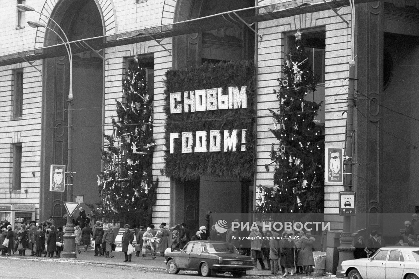 Новогодние елки у Детского мира