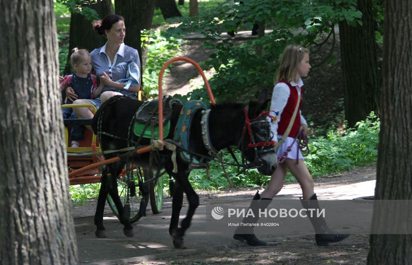 Лето в усадьбе "Архангельское"