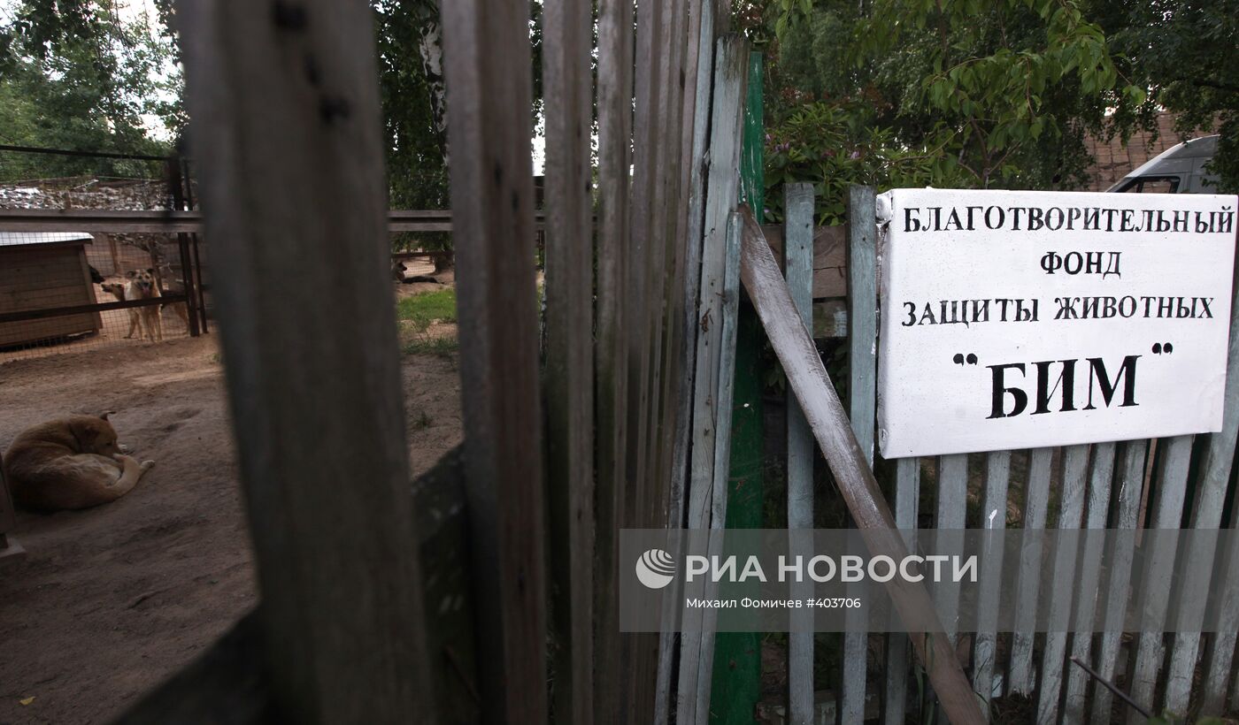 Фонд защиты животных "Бим" в Московской области