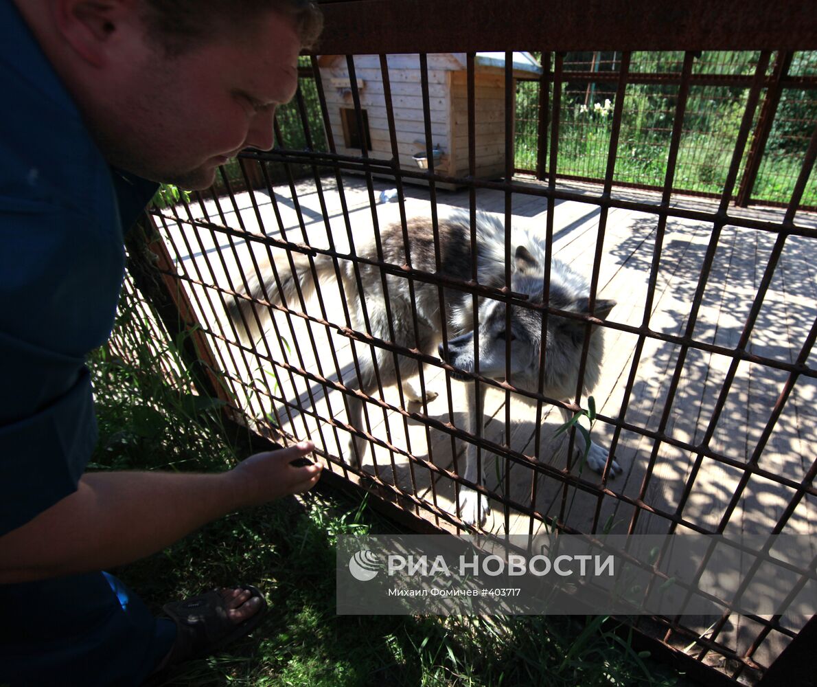 Фонд защиты животных "Бим" в Московской области