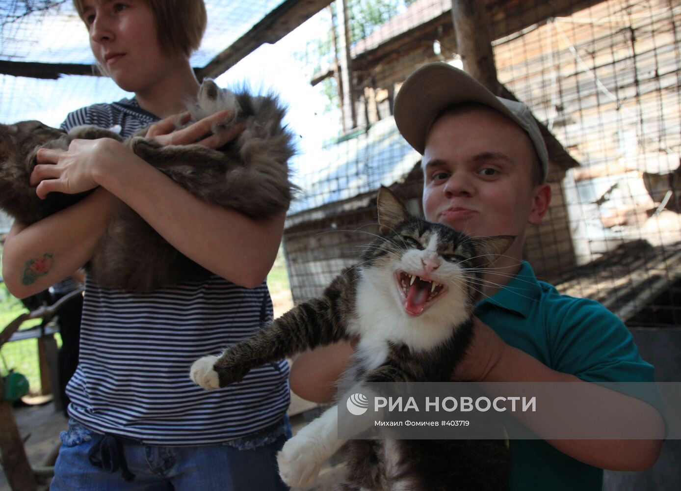 Фонд защиты животных "Бим" в Московской области