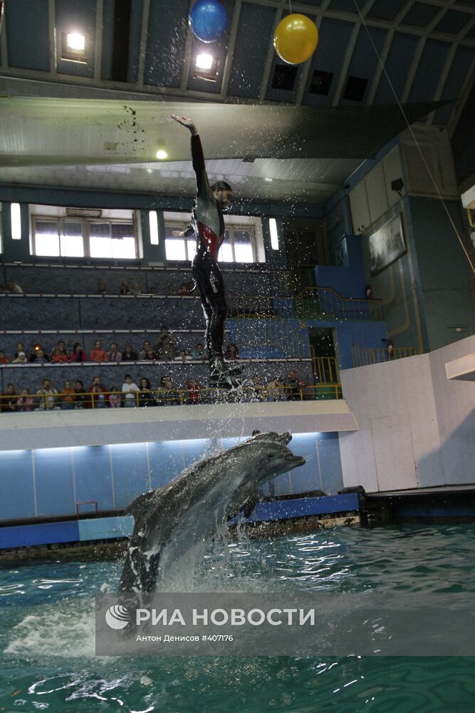 Московский дельфинарий