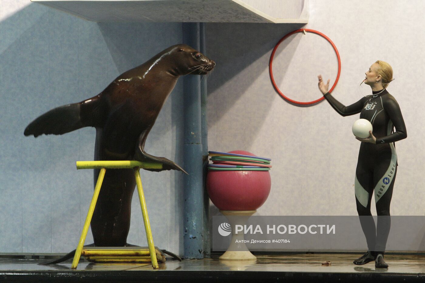 Московский дельфинарий