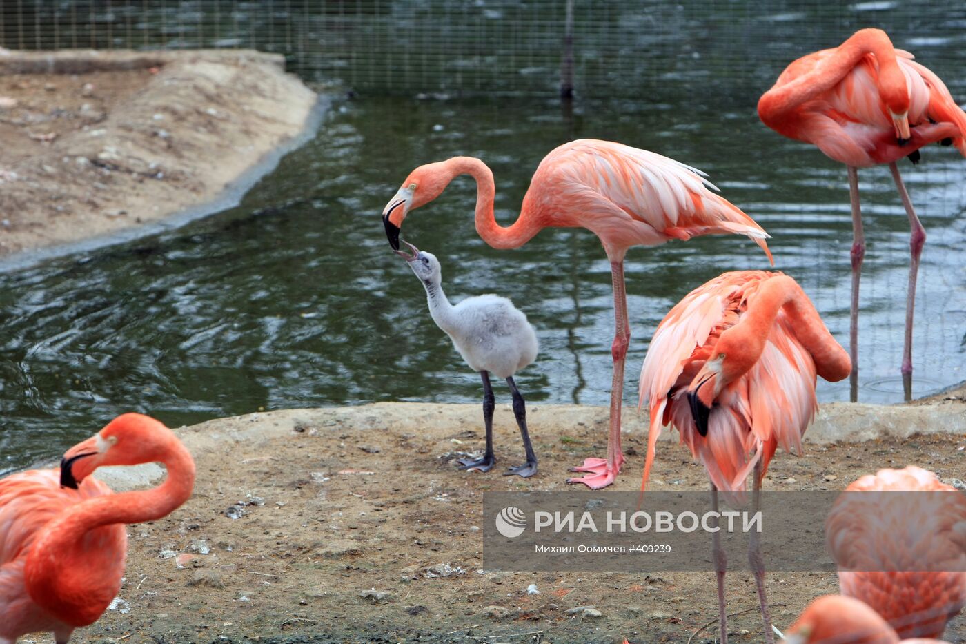 Московский зоопарк