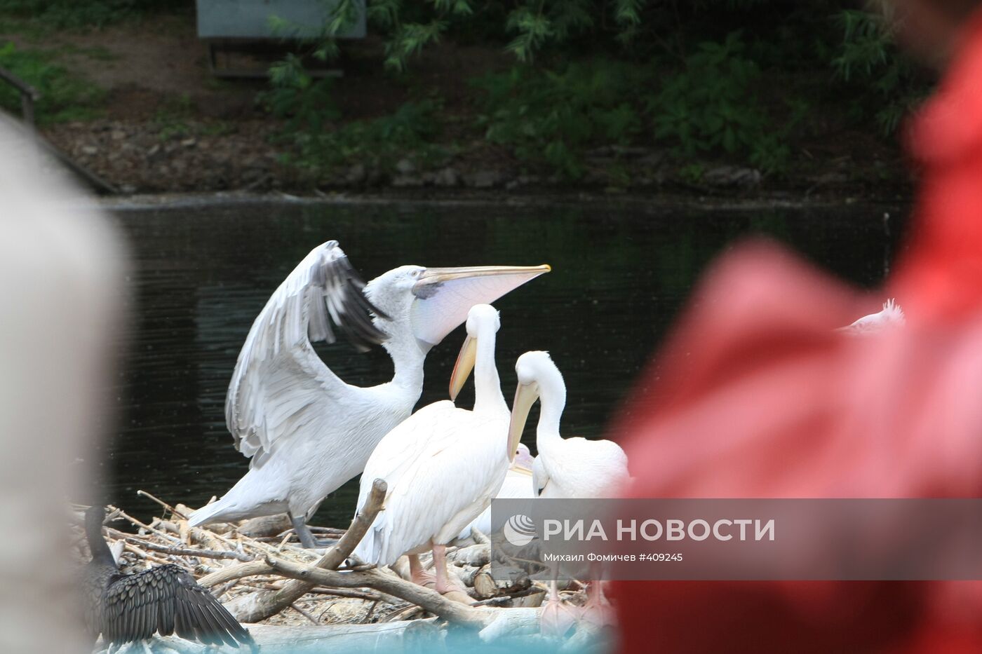 Московский зоопарк