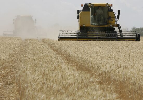 Уборка урожая зерновых в Ростовской области