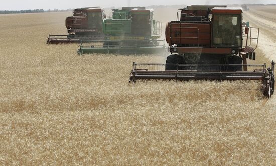 Уборка урожая зерновых в Ростовской области