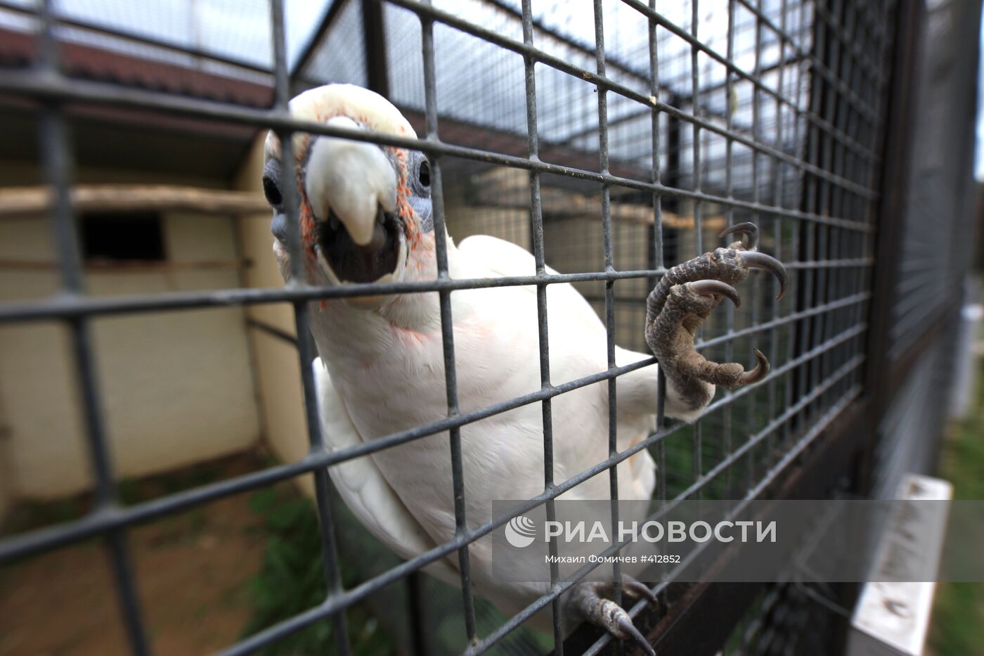 Парк птиц "Воробьи" в Калужской области