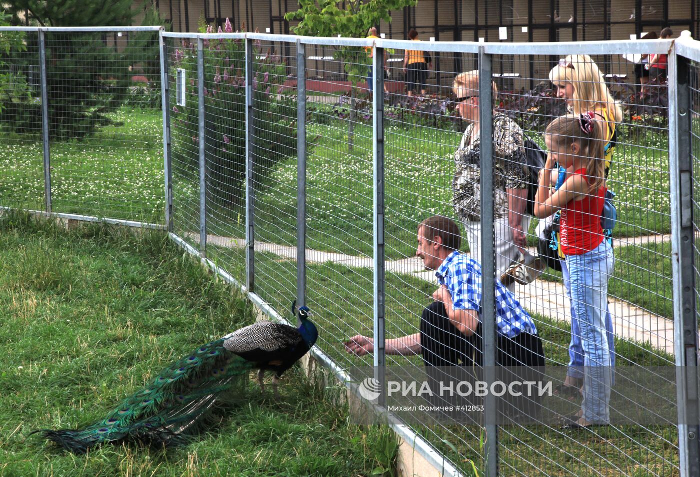 Парк птиц "Воробьи" в Калужской области