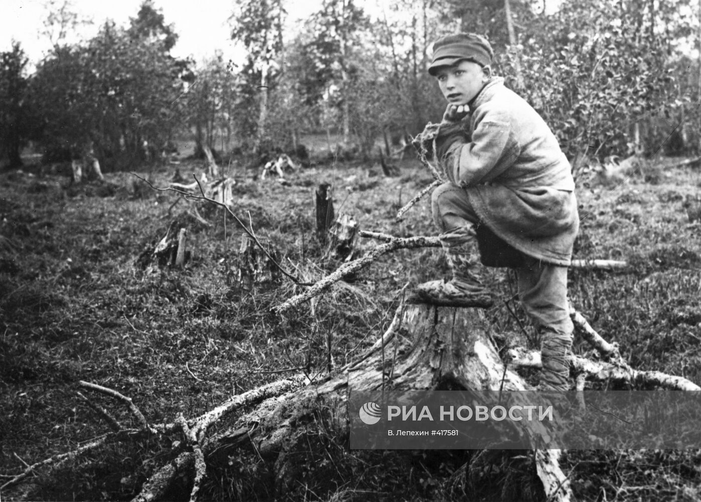 Фото "Молодой пастух"
