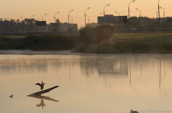 Трасса М-4 "Дон" в Москве