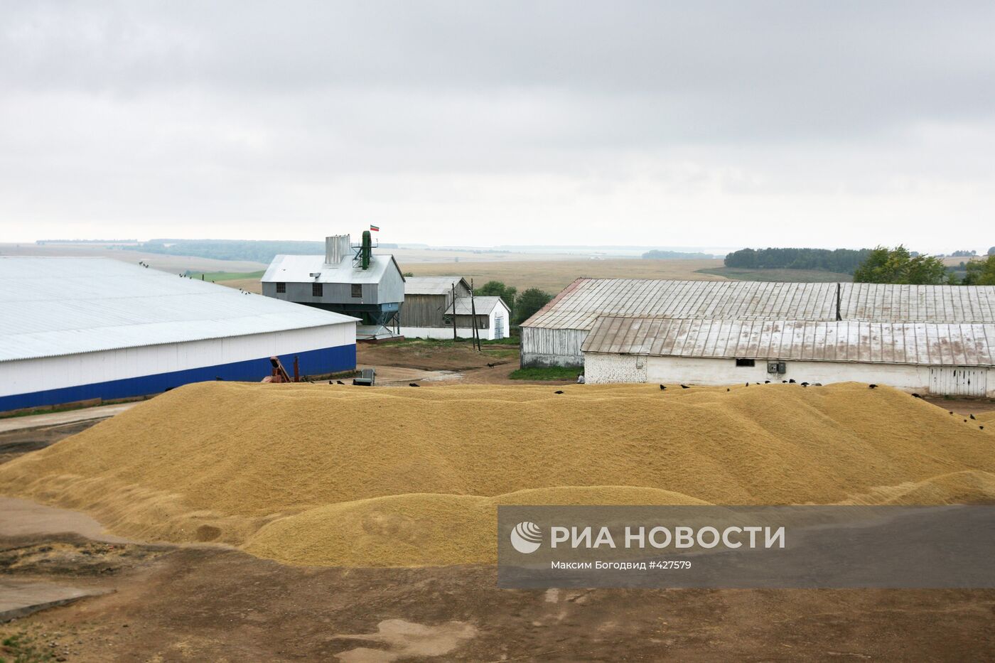 Уборка урожая на полях Татарстана