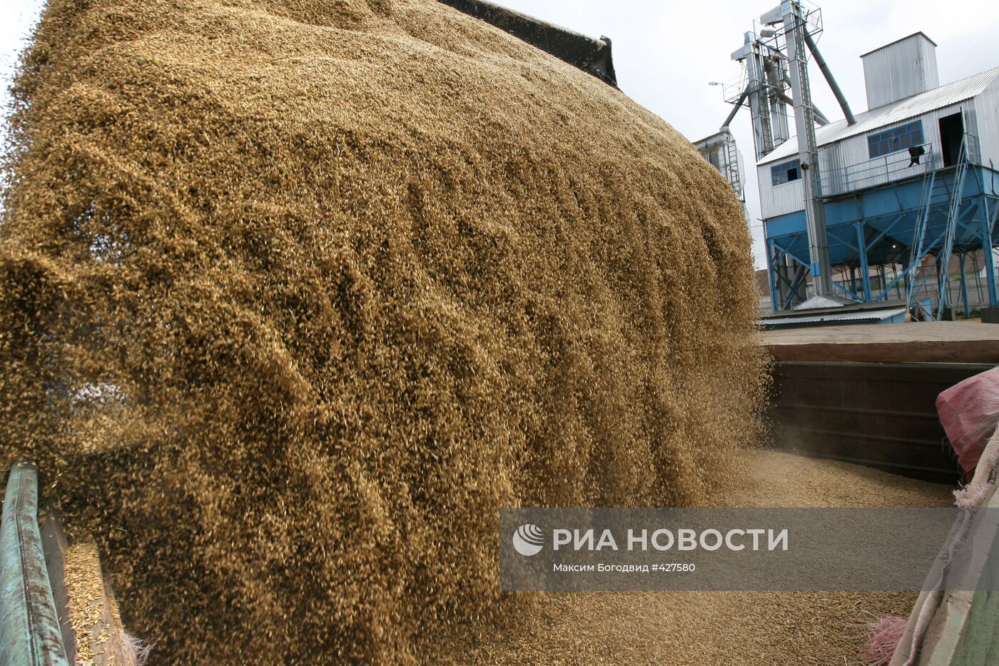 Уборка урожая на полях Татарстана