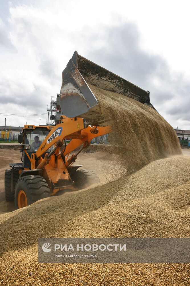 Уборка урожая на полях Татарстана