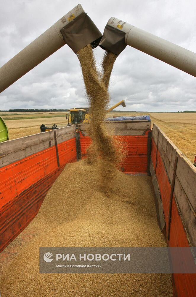 Уборка урожая на полях Татарстана