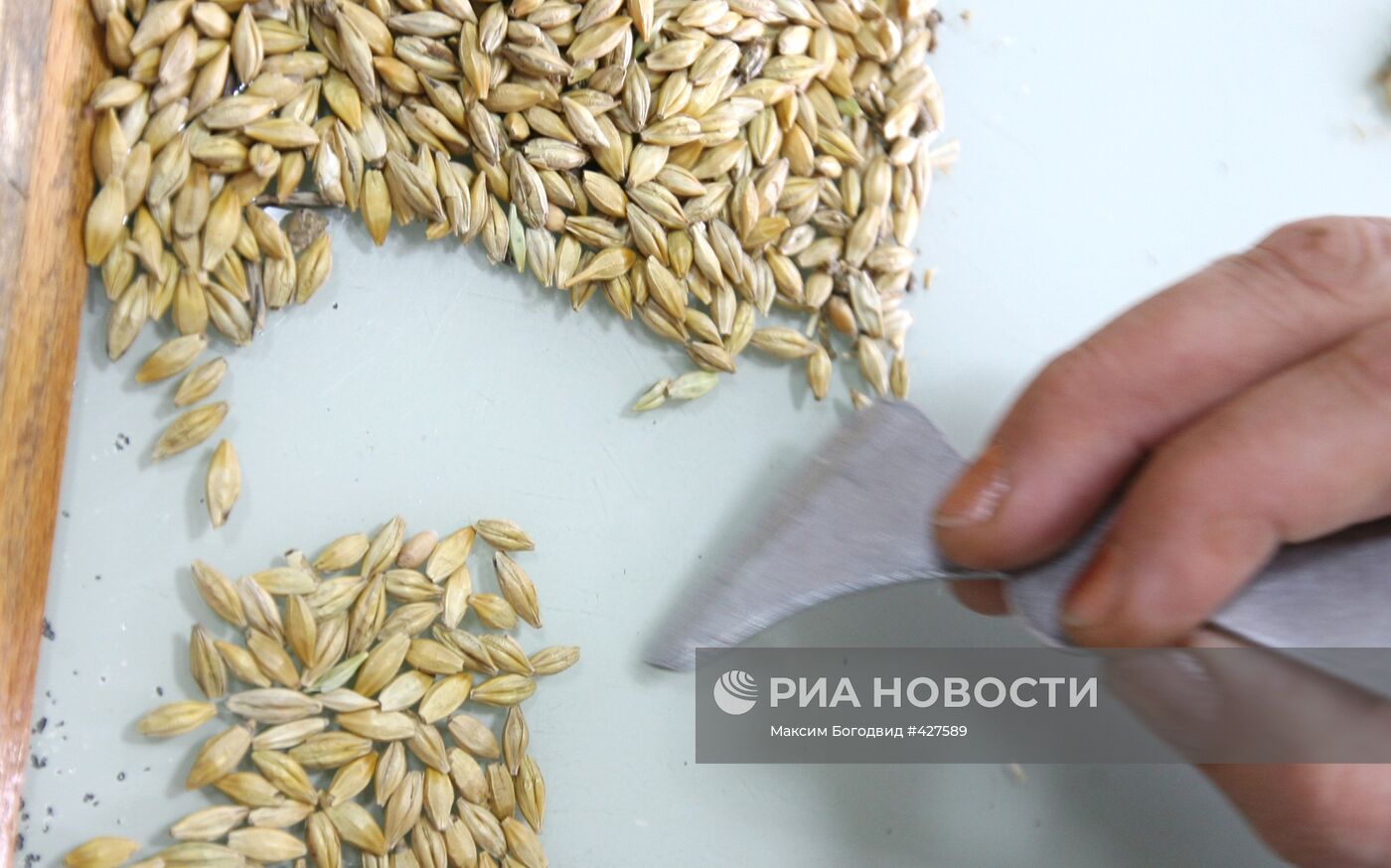 Уборка урожая на полях Татарстана