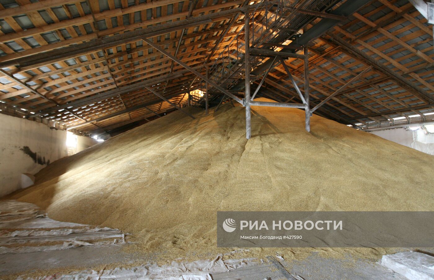 Уборка урожая на полях Татарстана