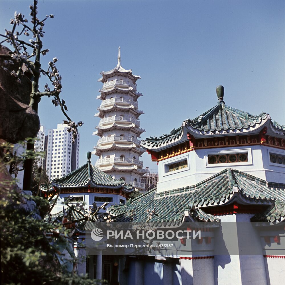 Городской парк в Гонконге