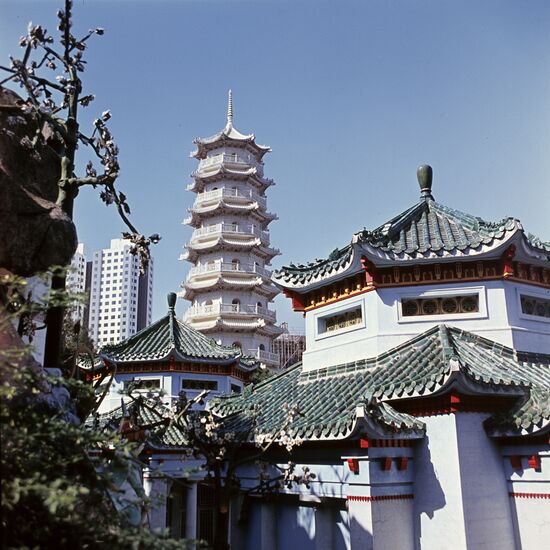 Городской парк в Гонконге