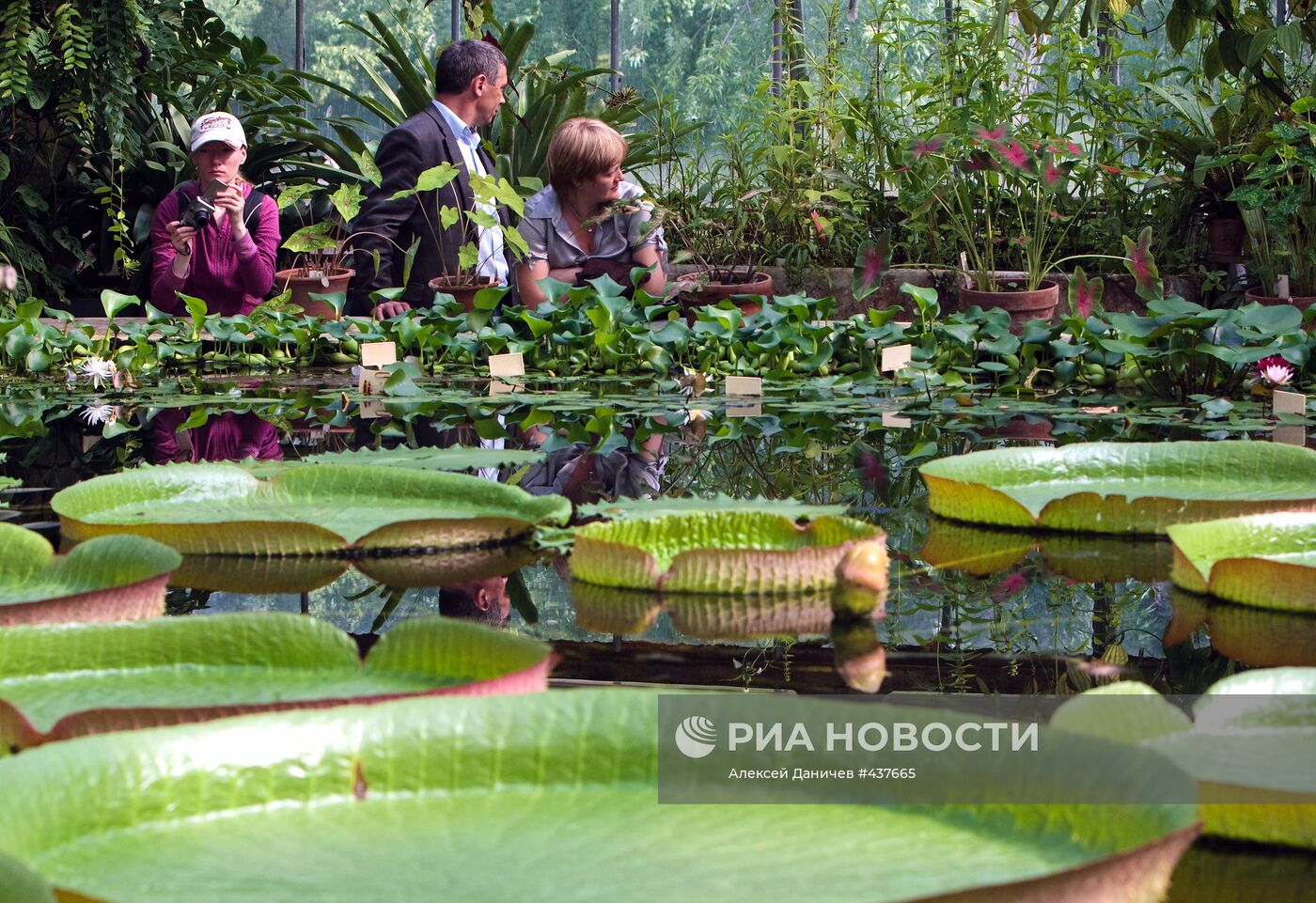 Санкт-Петербургский Ботанический сад