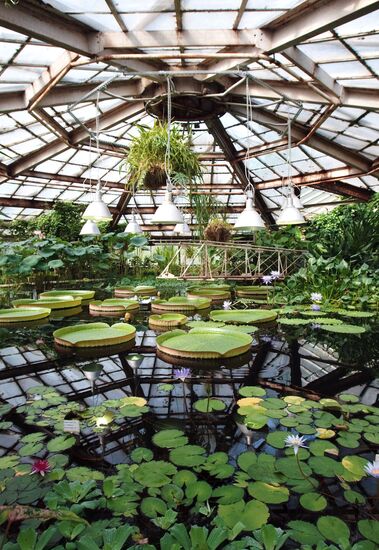 Санкт-Петербургский Ботанический сад