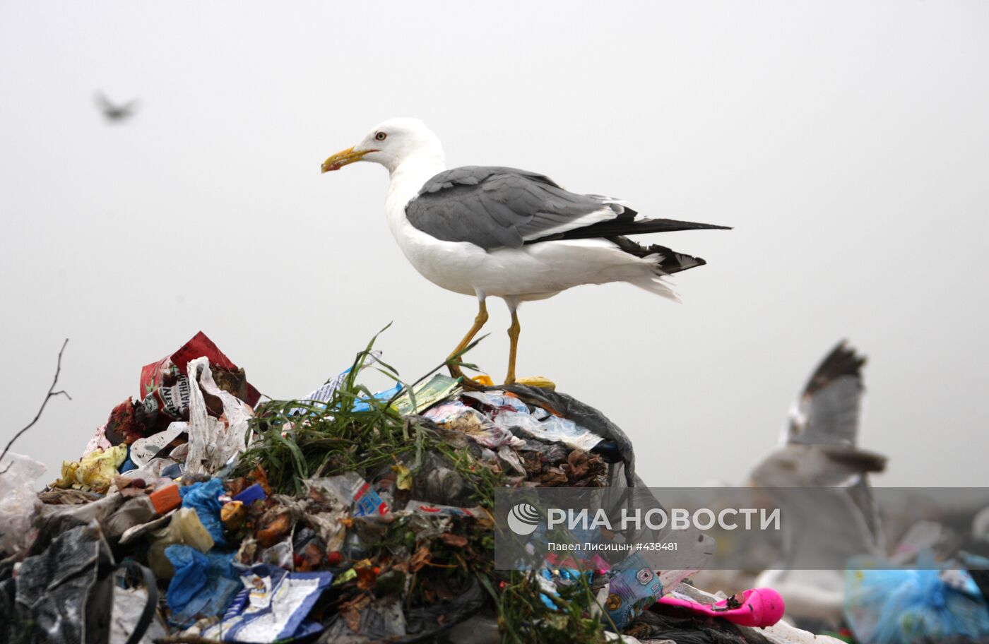Утилизация бытовых отходов в Екатеринбурге