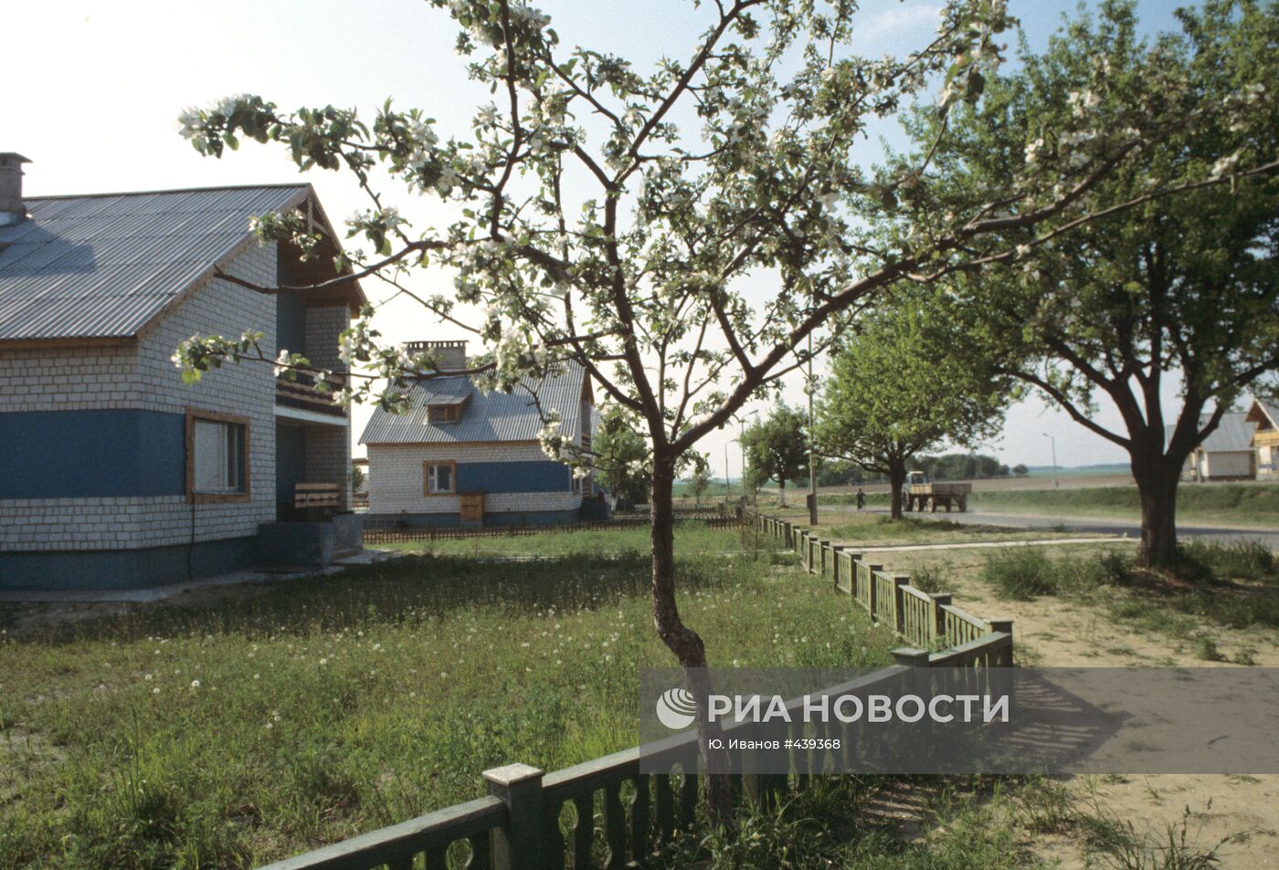 Дома переселенцев из Чернобыля