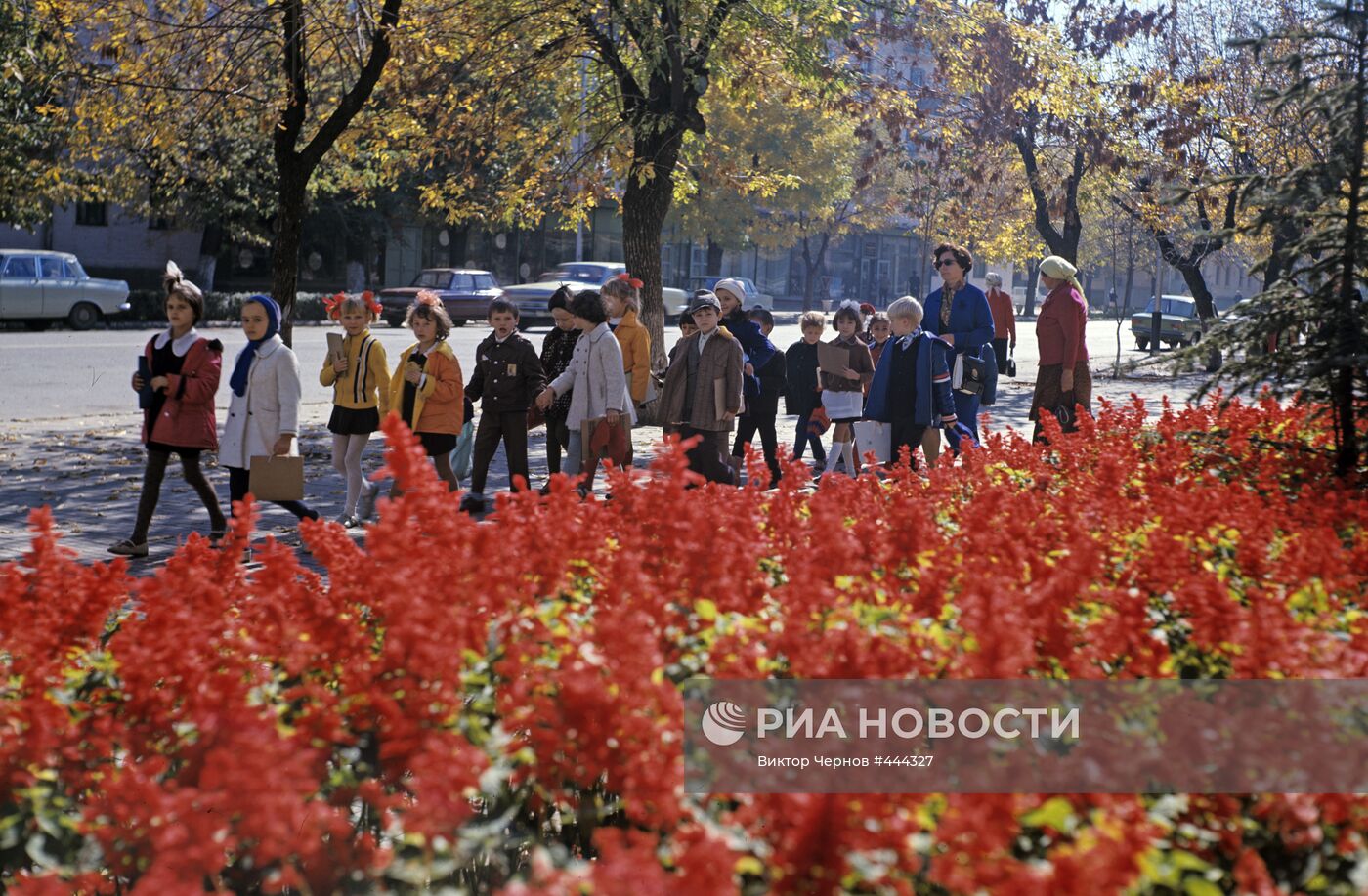 Майкопские школьники