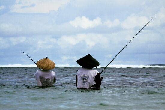 Зарубежные страны. Индонезия. Жизнь населения Бали