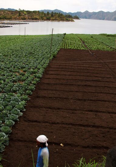 Зарубежные страны. Индонезия. Жизнь населения Бали